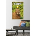 thumbnail image 2 of Capybara - S' Hup Wall Poster with Magnetic Frame, 22.375" x 34", 2 of 5
