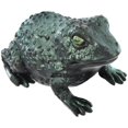 thumbnail image 1 of Grand crapaud Iris, 1 of 1
