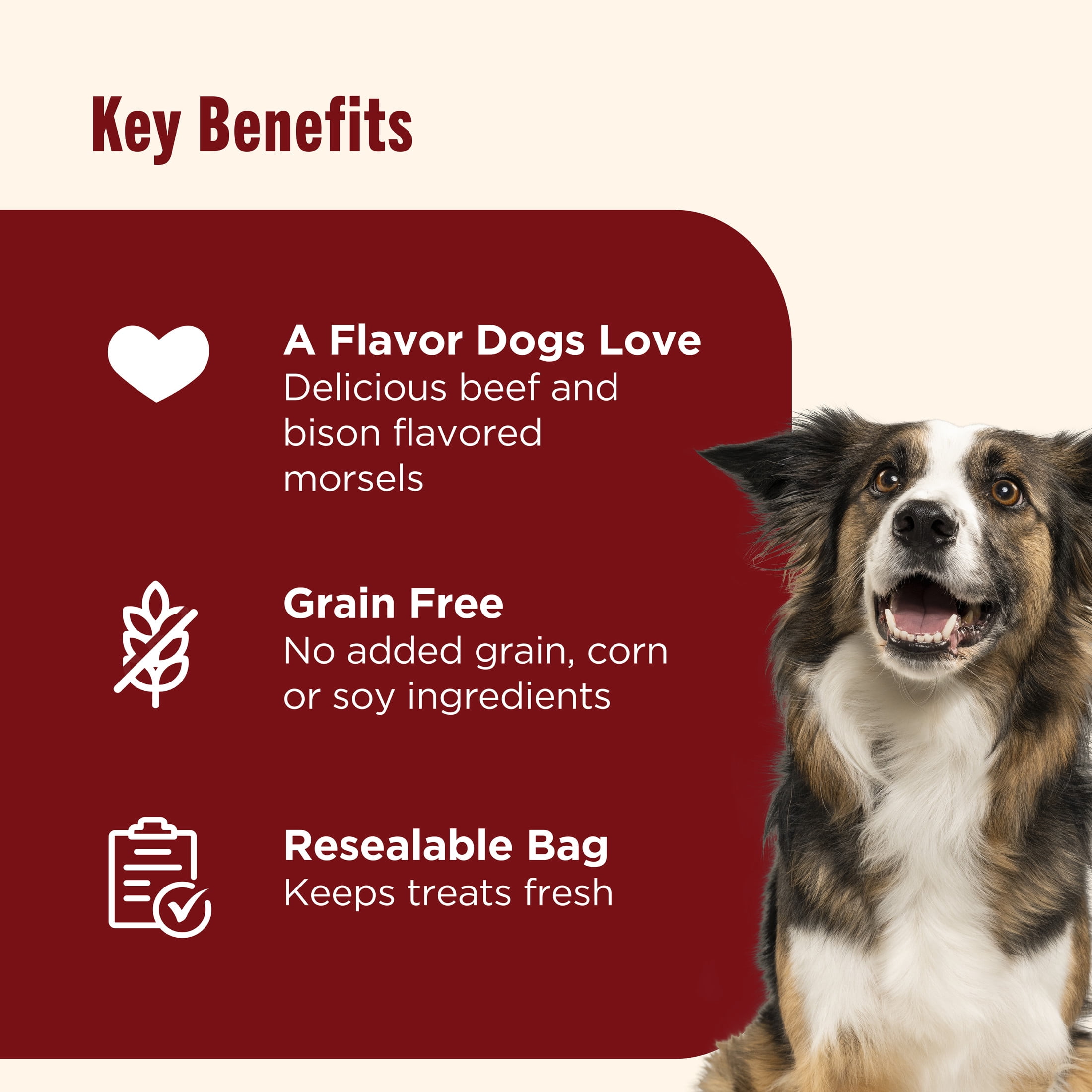 (2 pack) Nutrish Burger Bites Beef Recipe with Bison Premium Dog Treats, 12 oz. Pouch (Rachael Ray)