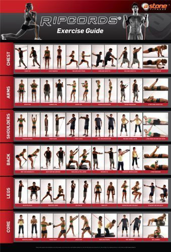 Resistance Band Exercise Chart