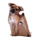 thumbnail image 4 of Almohada de simulación, cojín para reposacabezas, cojín para sofá, peluches perro nativo, 4 of 9