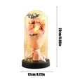thumbnail image 3 of Valentines Day Preserved Rose Bouquet in Glass Dome, LED Light Up Eternal Roses, Romantic Gifts for Her, Birthday Gifts, Mom Wife Girlfriend, Valentines Home Decor, 3 of 6