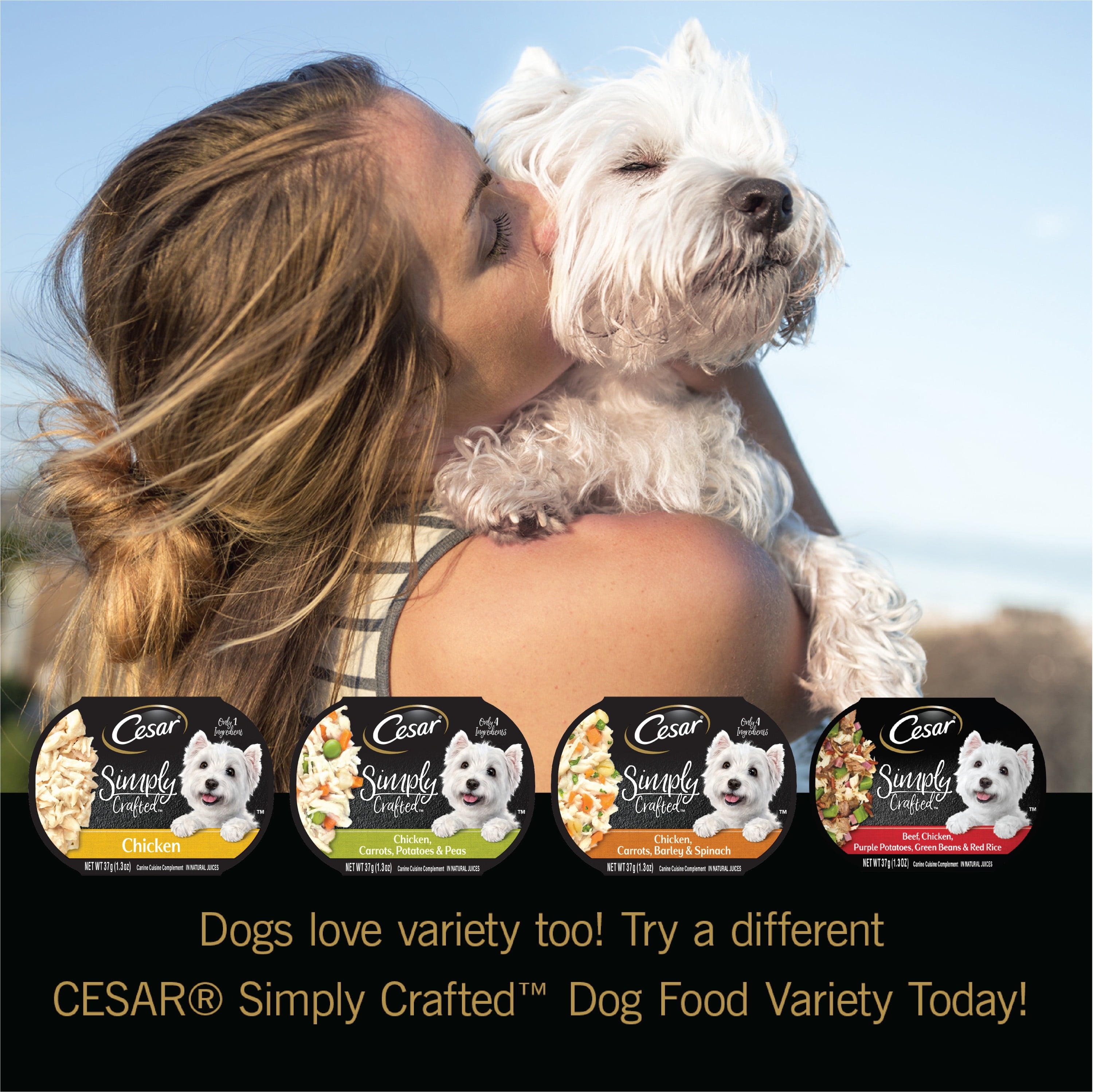 cesar salmon dog food