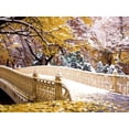thumbnail image 1 of Bow Bridge Central Park Oil Painting CANVAS or PRINT WALL ART, 1 of 1