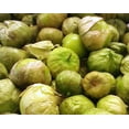 thumbnail image 3 of Grande Rio Verde Tomatillo Seeds/Perennial/Full Sun/13K Seeds 1 oz/ Zellajake Farm and Garden - B269, 3 of 5