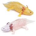 thumbnail image 1 of Set de figuras realistas de PVC con forma de ajolote mexicano, 4,3 a 17,8 cm, 1 of 3