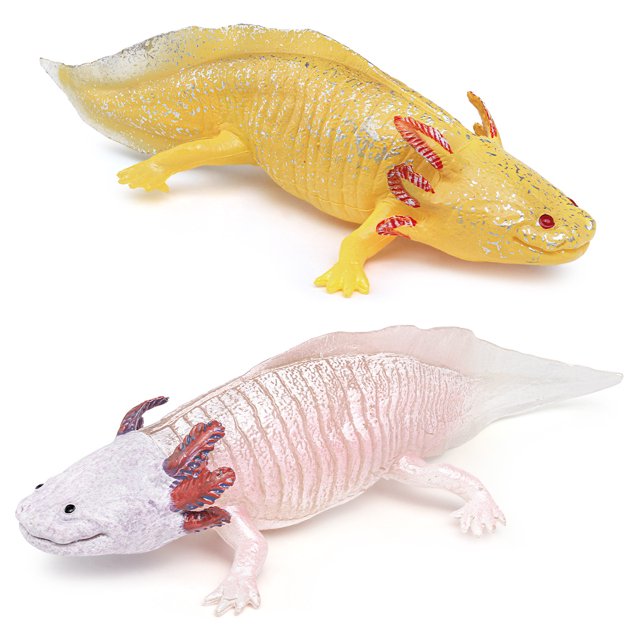 set de figuras realistas de pvc con forma de ajolote mexicano, 4,3 a 17,8 cm Juego de 2 figuras realistas de ajolote mexicano en PVC (4,3 a 17,8 cm): una amarilla con branquias rojizas y motas plateadas y una translúcida rosa pálido con branquias rojizas; torsos estriados, patas pequeñas detalladas y siluetas alargadas sobre fondo blanco; aptas para exhibir, juego educativo y coleccionar; también son adecuadas como apoyo didáctico en actividades de aula.