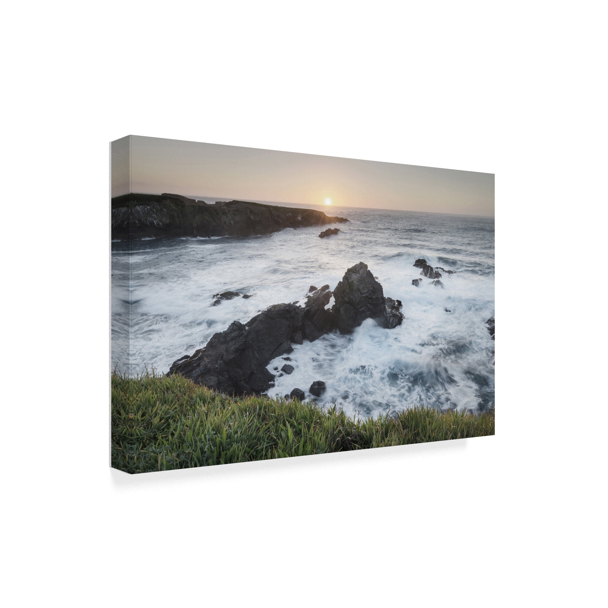 Trademark Fine Art 'Mendocino Coast' Canvas Art by Alan Majchrowicz