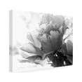 thumbnail image 2 of Debra Van Swearingen 'Translucent Peony IBW' Canvas Art, 2 of 4