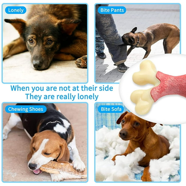 Indestructible pet toys deals