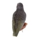 thumbnail image 3 of Pájaro de Resina Sunnimix Escultura del Pájaro de la Resina 24x10x48cm, 3 of 5