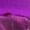Dark Purple, variant on MKHSQHDG Girls Swim Shorts with Liner Slim Fit Stretch Sequin Shorts for Boys and Girls Girls Running Shorts Size 10-12 15-16 Years