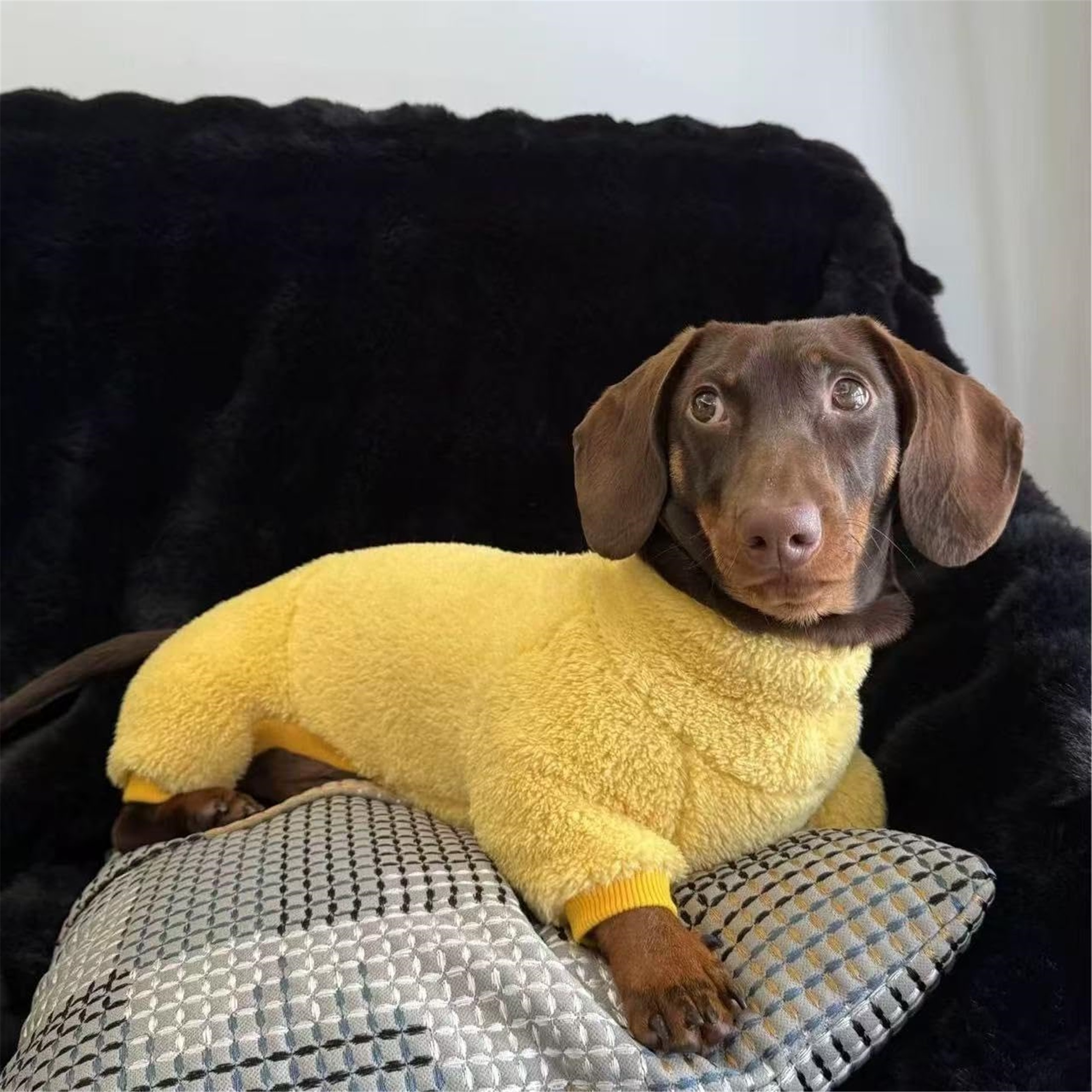 UOSIA Dachshund Dog Fleece Jumpsuit Turtleneck Sweater, Suitable for Dachshunds, Winter Dog Pajamas