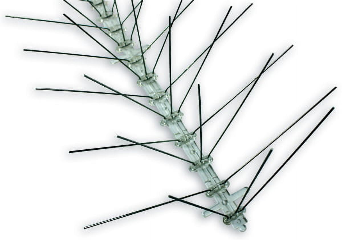 Bird-X Extra Wide Stainless Bird Spikes 10 Feet Coverage 8 Inches Wide Pigeons Starlings Sparrows Seagulls Bird Repellent Control