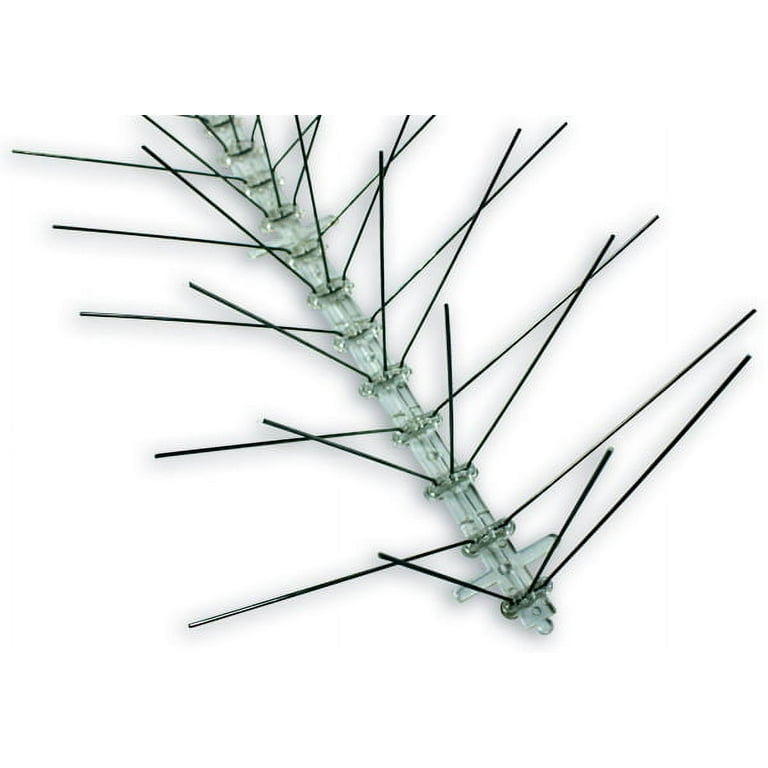 Stainless Steel Bird Spikes 10 Feet - Bird-X - STS-10