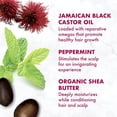 thumbnail image 6 of 100% Pure Jamaican Black 100% Pure Jamaican Black Castor Oil, 6 of 7