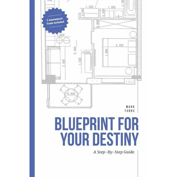 Blueprint For Your Destiny, (Paperback)