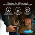 thumbnail image 4 of Farnam Horseshoer’s Secret Extra Strength Hoof & Connective Tissue Supplement, 60 Day Supply 7.5 lbs, 4 of 11
