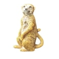 thumbnail image 1 of Imán de nevera 3D con forma de suricata de resina pintada a mano con forma de suricata, 1 of 3
