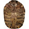 thumbnail image 2 of McCavitt, Naomi 25x32 Gold Ornate Wood Framed with Double Matting Museum Art Print Titled - Tortoise Shell Detail I, 2 of 4