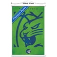 thumbnail image 3 of WNBA Minnesota Lynx - Logo 25 Wall Poster with Magnetic Frame, 22.375" x 34", 3 of 5