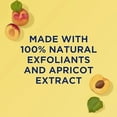 thumbnail image 4 of St. Ives Fresh Skin Apricot Face Scrub, Deep Exfoliator Skin Care for Clean, Glowing Skin, Oil-free Facial Scrub Made with 100% Natural Exfoliants, 6 oz, 4 of 5