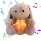 thumbnail image 4 of Peluche Dinosaurio Chupete para Bebé Con Música Y Luces Recién Nacidos (marrón Claro), 4 of 9
