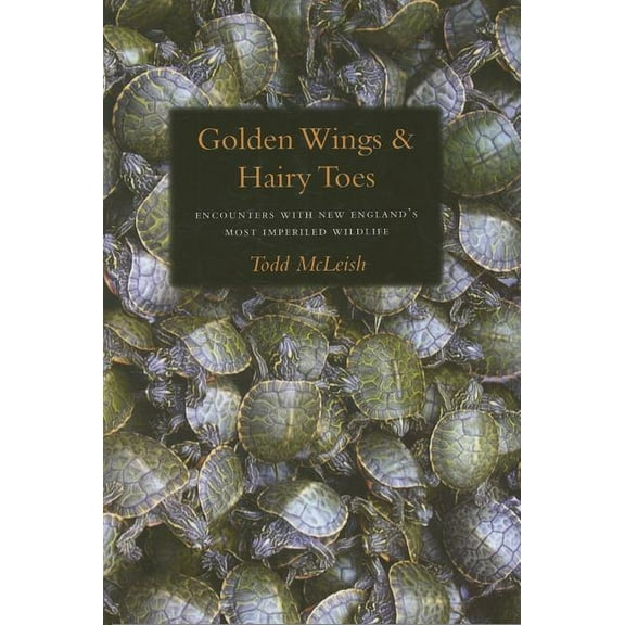 Golden Wings & Hairy Toes : Encounters with New England’s Most Imperiled Wildlife (Hardcover)
