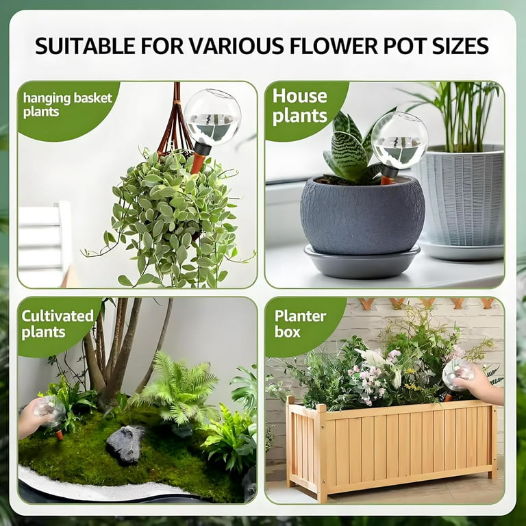 JGJJUGN Automatic Watering Device 6PCS/8PCS - Large Capacity Plant Waterer,  Easy Use Succulent Dripper for Efficient Flower Care and Hydration -  Walmart.com