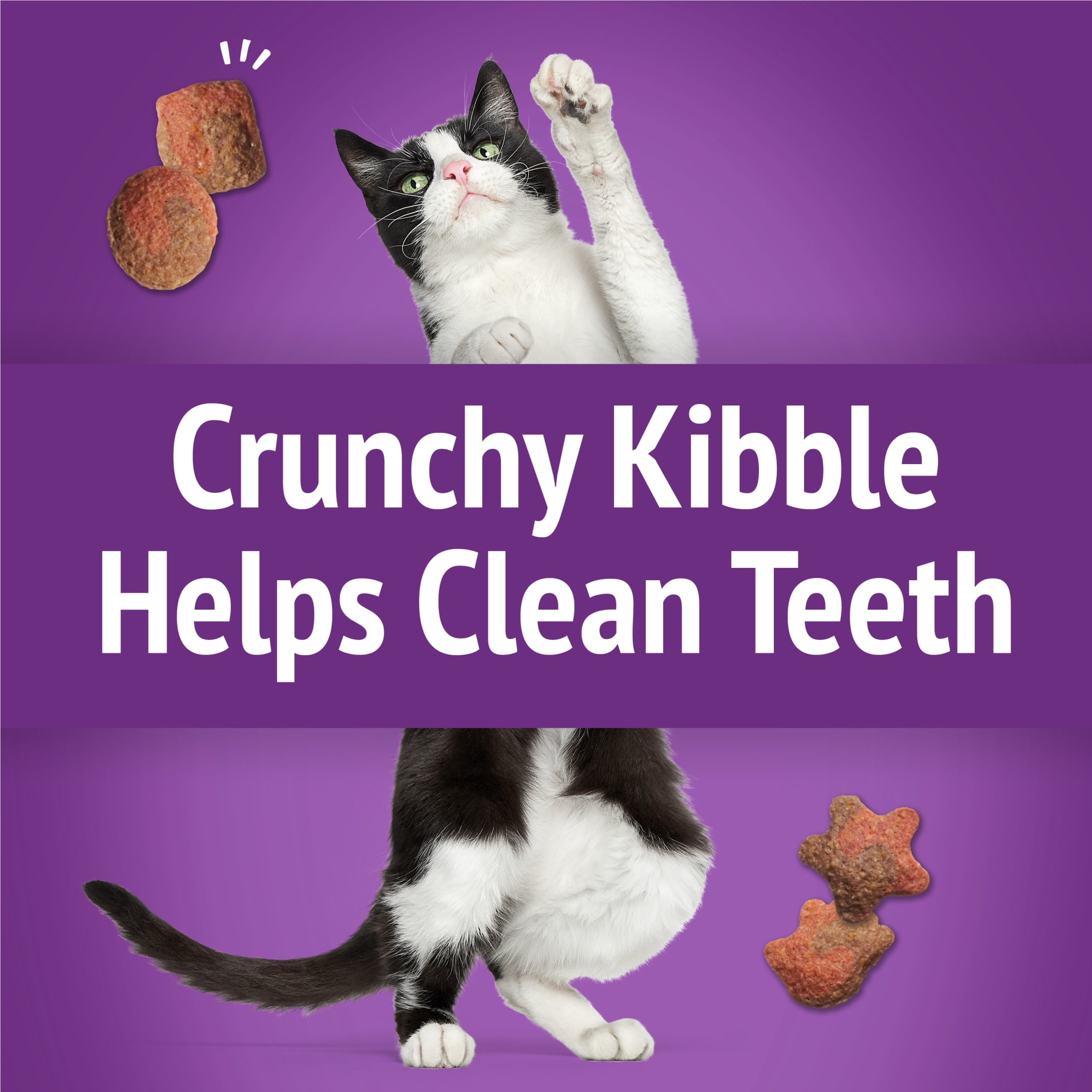 Purina Friskies Party Mix Gravy-licious, Cat Treats, Chicken & Gravy, (6) 6 oz Bags