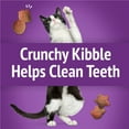 thumbnail image 6 of Purina Friskies Party Mix Gravy-licious, Cat Treats, Chicken & Gravy, (6) 6 oz Bags, 6 of 13