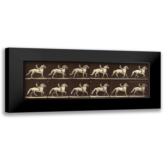 Muybridge, Eadweard J. 14x7 Black Modern Framed Museum Art Print Titled - Motion Study: Man Riding A Horse