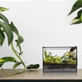 thumbnail image 4 of Plant Terrarium Succulent Plant Planter DIY Landscape Terrarium Table Plants Terrarium Display Container, 4 of 6