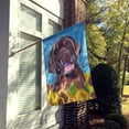 thumbnail image 2 of Carolines Treasures SC9074CHF Drapeau Labrador Toile Taille Maison, 2 of 4