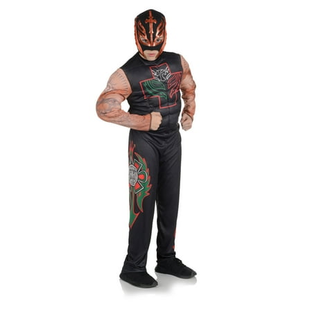 Rey Mysterio Boys Child Lucha Libre Spanish Wrestler Halloween Costume ...