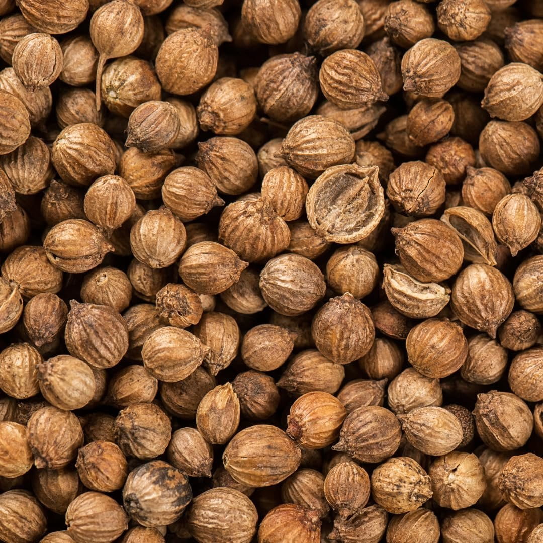 GranAroma Whole Coriander Seeds – 12 Oz For Cooking, Marinades & Spice Blends