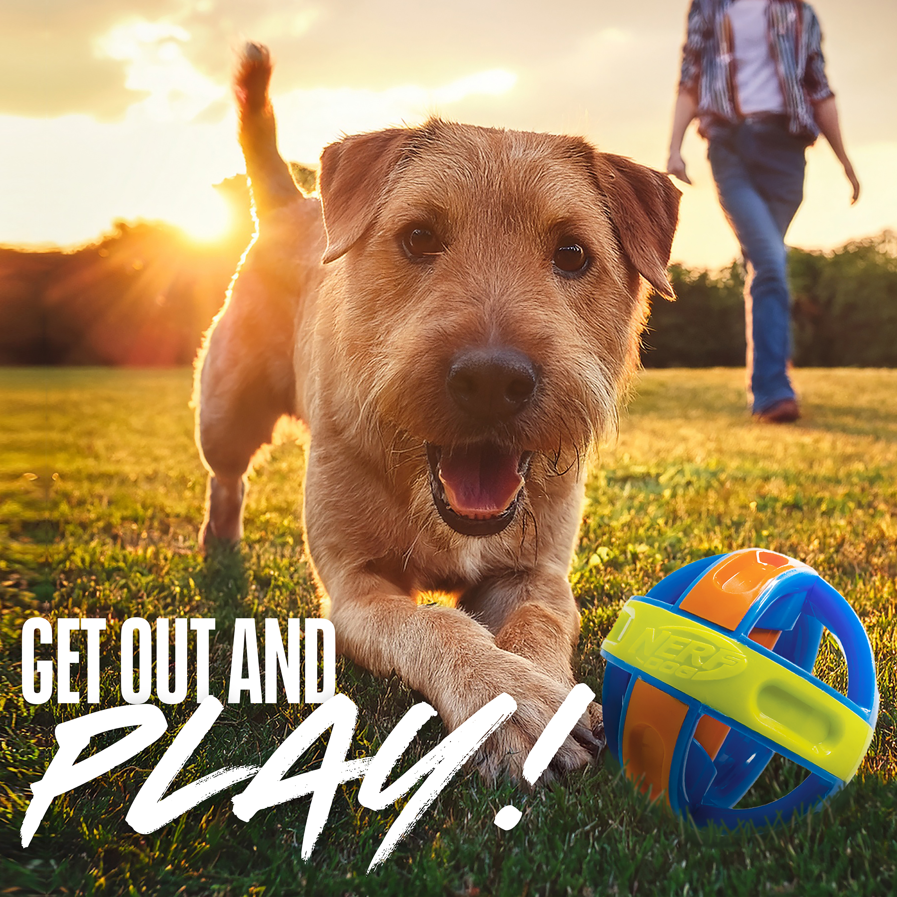 Nerf Dog Giggle Ball Interactive Noises Toy, 5 Inch photo 3
