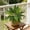 A, variant on Tuscom Artificial Green Plant for Indoor Outdoor Decoration, Faux Greenery Bush for Wall Table, Lifelike Plastic Plant for Home Garden