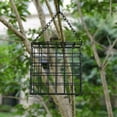 thumbnail image 6 of Pakyozj 2Pcs Outdoor Suet Cage Bird Feeder, Wild Bird Feeder, Single Suet Cake Capacity, Fruit and Suet Feeder Style for Outside Hanging, 6 of 7