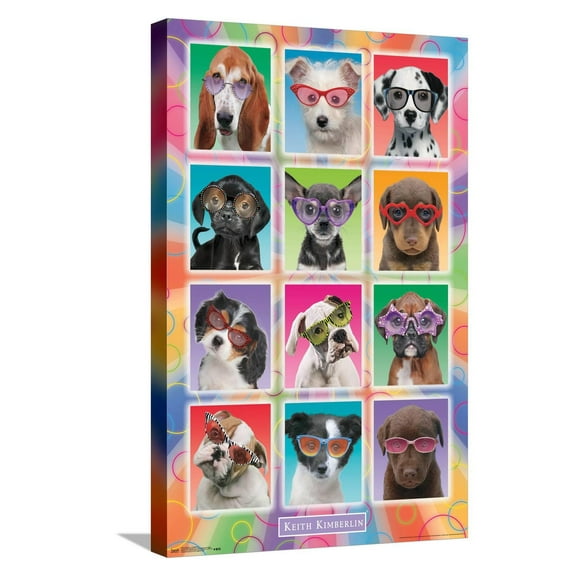 Keith Kimberlin - Puppies - Sunglasses Canvas Wall Poster, 14.725" x 22.375"