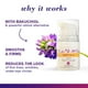 thumbnail image 4 of Renovación Crema Alisante Ojos Burts Bees Renewal Smoothing Eye Cream Crema para los ojos Unisex 0.5 oz, 4 of 9