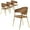 Brown Velvet, variant on LeisureMod Dining Chair Upholstered Leather Armchair Velvet Accent Ergonomic Padded Seat and Back Durable Stainless Steel Base for Modern Home, Kitchen, Living Room Bella Series in Off-White Set of 4