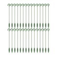 thumbnail image 1 of Plant Support Stakes Garden Flower Support Single Stem Support Plant M, 1 of 9