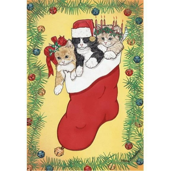 Pipsqueak Productions C414 Stocking Stuffers Cat Christmas Boxed Cards - Pack of 10