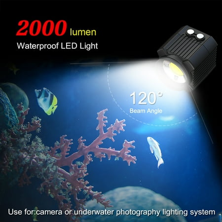 Image of Walmeck Photography Lamp Waterproof Ipx8 Led Video Lamp 60m 60 M Waterproof Eryue Fill Led Qisuo Waterproof Led Lamp 60 M Led Reable Led //dslr Waterproof Led Reable