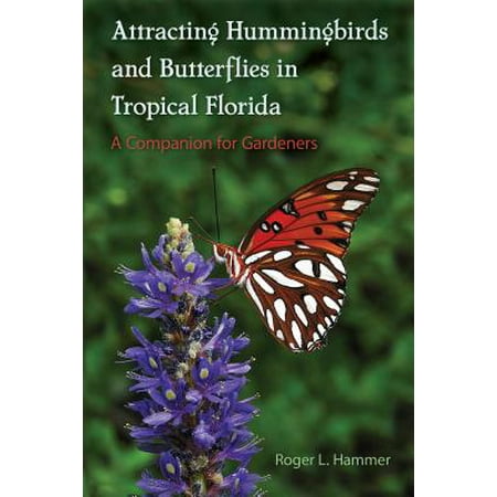 Attracting Hummingbirds And Butterflies In Tropical