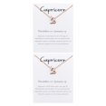 thumbnail image 3 of Sonducket Doce signos del zodiaco constelaciones tema símbolo único amistad collar elegante exquisito colgante oro rosa Capricornio Capricornio 2Conjunto, 3 of 6