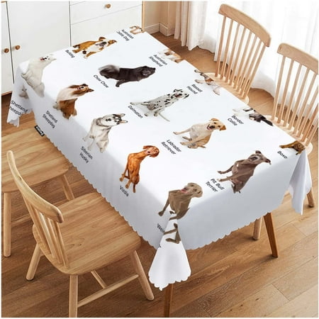 

WISH TREE Palm Trees Rectangular Tablecloth Ocean Seascape Beach Palm Tree Sunset Non-Fading Table Cloth Kitchen Dining Room Table Cover for Party Picnic BBQ Tablecloths