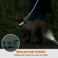 thumbnail image 7 of Taglory Rope Dog Leash with Comfortable Padded Handle, 6ft Reflective Dog Leash, Turq, 7 of 7