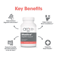 thumbnail image 4 of ARG Mastica Digestive Support - Supports Digestive Comfort - Delivers 1000 mg Chios Mastic Gum Resin per Serving - Vegetarian & Hypoallergenic - 120 Servings - 240 Capsules, 4 of 7